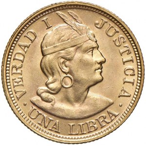 PEROU Libra 1916 - KM 207 AU (g 8,00)...