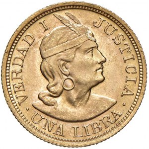 PEROU Libra 1920 - KM 207 AU (g 8,00)...