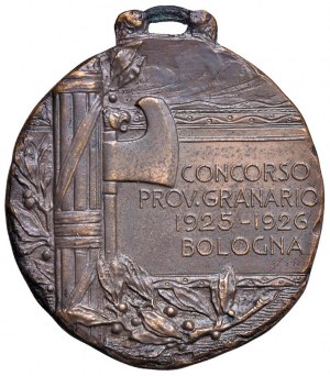 FASCIST MEDALS Medal 1925-1926 A. IV Bologna, Competition...