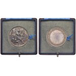 During Humbert I (1878-1900) Medal undated Ministry ...