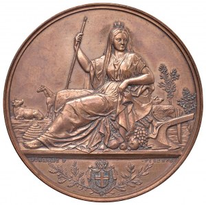 During Humbert I (1878-1900) Medal 1878 Ministry of the...