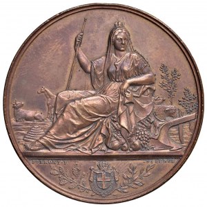 During Humbert I (1878-1900) Medal 1882 Ministry of the...