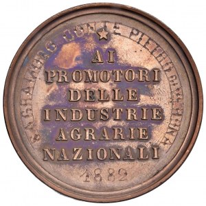 During Humbert I (1878-1900) Medal 1882 Ministry of the...