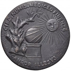 Giulio dè Medici (1478-1534) Medaglia da fusione, Papa Cleme...