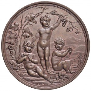 Médaille de l'ASTI 1891 Exposition nationale du vin et des machines à vin, ...