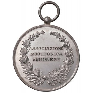 LEGNAGO-VERONA Médaille non datée Exposition de bovins, Association...