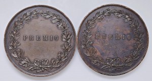 MILAN Medal 1898 lot of 2 Regia Accademia di Belle Art...