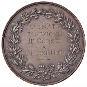 MILAN Medal without date Royal Academy of Fine Arts of ...