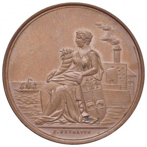 TRIESTE Medaile 1882 Zemědělská a zemědělská průmyslová výstava...