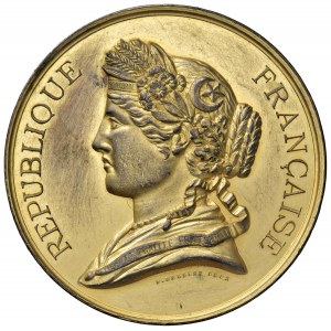 TUNISIA / FRANCIA Repubblica Francese Medaglia senza data Es...