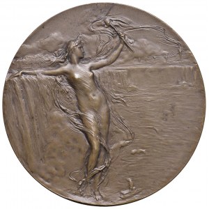 USA Medaglia 1904 Cascate del Niagara, elettrificazione dell...