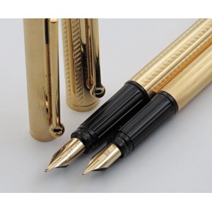 WATERMAN -Lotto di 2 penne Stilografiche- Corpi e cappucci p...