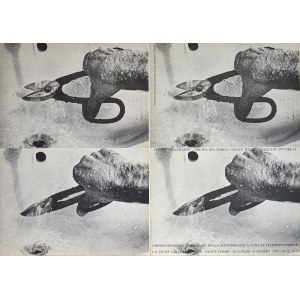 FABRIZIO PLESSI, Naufragio, FABRIZIO PLESSI, Naufragio
