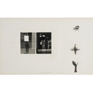 LEE FRIEDLANDER & JIM DINE, Fotografie e incisioni IV, LEE FRIEDLANDER & JIM DINE, Fotografie e incisioni IV