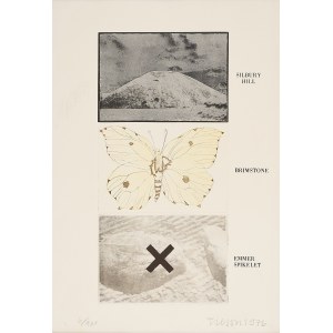 JOE TILSON, Silbury hill- (Brimstone-Emmer Spikelet), JOE TILSON, Silbury hill- (Brimstone-Emmer Spikelet)