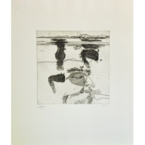 GIUSEPPE ZIGAINA, Lo stagno n.24, GIUSEPPE ZIGAINA, Lo stagno n.24