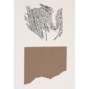 BRUNO MUNARI, Senza titolo, BRUNO MUNARI, Senza titolo