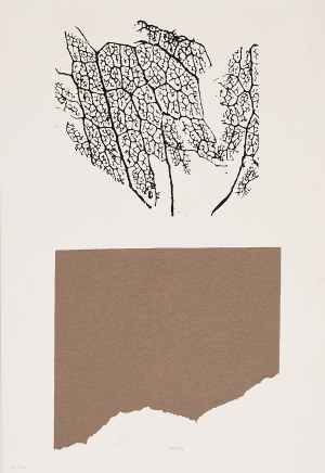 BRUNO MUNARI, Bez názvu