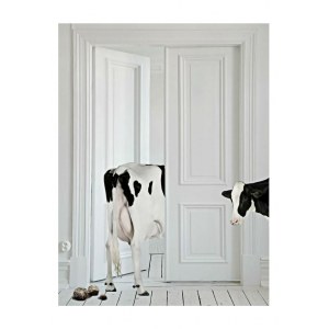 MR STRANGE, Vaches d'appartement, MR STRANGE, Vaches d'appartement