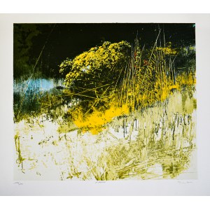 ANTONIO PEDRETTI, Ai margini, ANTONIO PEDRETTI, Ai margini