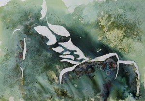 Barbara Ejdys, BE tender, 2024