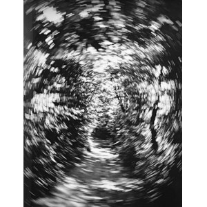 Paweł Pierściński, Vortex from the series Trees 1/1, 1968