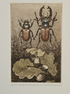 Elżbieta Bocianowska, Jelonki