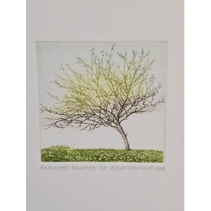 Elżbieta Bocianowska, Primavera zielona