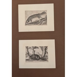 Lot of 8 engravings by Antonio Tempesta