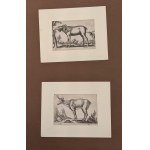 Lot of 8 engravings by Antonio Tempesta