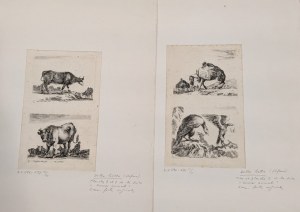 Stefano Della Bella (Firenze, 1610 - Firenze, 1664), Lotto di due acqueforti tratte da Diversi Animali Fattii
