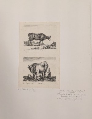 Stefano Della Bella (Firenze, 1610 - Firenze, 1664), Lotto di due acqueforti tratte da Diversi Animali Fattii