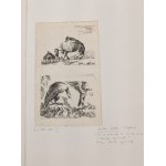 Stefano Della Bella (Firenze, 1610 - Firenze, 1664), Lotto di due acqueforti tratte da Diversi Animali Fattii