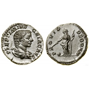 Roman Empire, denarius, (203-208), Rome