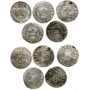 Poland, lot 5 x half-penny, 1507, 1508, 1509, 1510, 1511, Krakow