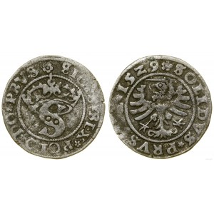 Poland, sheląg, 1529, Toruń