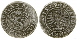 Polsko, sheląg, 1529, Toruń
