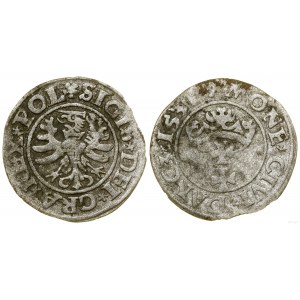 Poland, sheląg, 1531, Gdansk