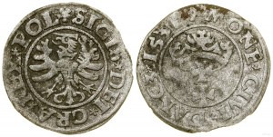 Polsko, sheląg, 1531, Gdaňsk