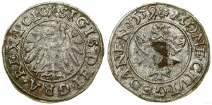 Polsko, šilink, 1539, Gdaňsk