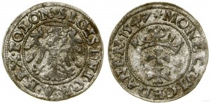 Polsko, sheląg, 1547, Gdaňsk