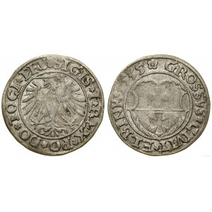 Pologne, pièce de monnaie, 1535, Elbląg