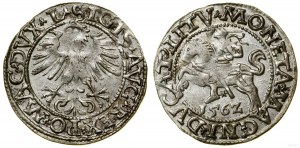 Poland, half-penny, 1562, Vilnius