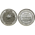 Poland, award medal, 1869, Krakow (?)