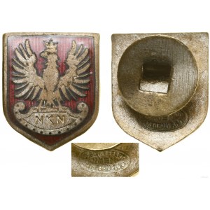 Polska, odznaka patriotyczna NKN