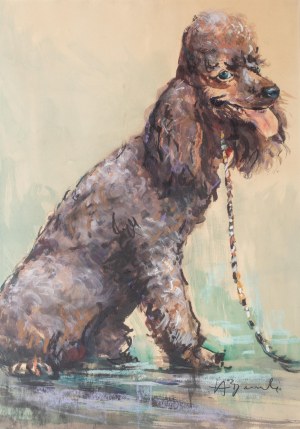 Henryk Baranowski (1932 Starogard Gdański - 2005 Gdynia), Pudel Chin, l. 70-te XX w.