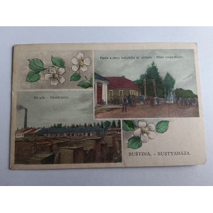 POSTKARTE BUSCHTNO, TIACHIV, UKRAINE, VORKRIEGSZEIT, BRIEFMARKE, GESTEMPELT