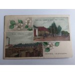 BUSHTINO POSTCARD, TIACHIV, UKRAINE, PRE-WAR, STAMP, STAMPED