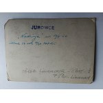ZDJĘCIE JUROWCE, KROWA, OBORA LIMANOWA 1929 R