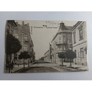 POCZTÓWKA STRYJ ULICA TRYBUNALSKA, PRZEDWOJENNA 1917 R, STEMPEL, ZNACZEK